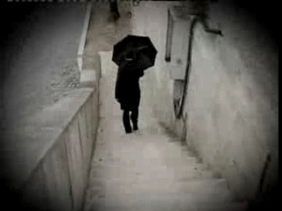 LE MEILLEUR DES MONDES II