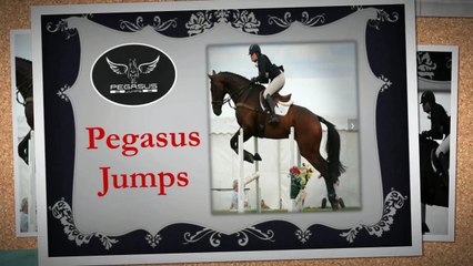 Best Vertical Rail Wood Wing Standards