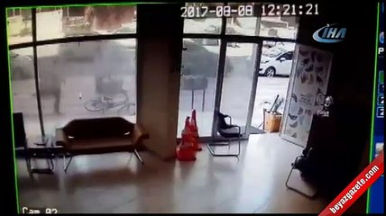 Hatay'da köpeğe şiddet dehşeti