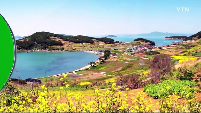 초록빛 섬마을 '청산도' / YTN (Yes! Top News)