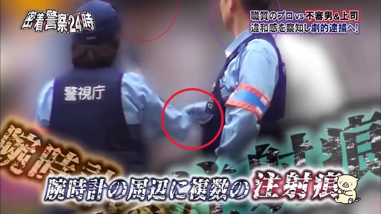 職質中に大暴れ！！　警視庁遊撃特別警ら隊