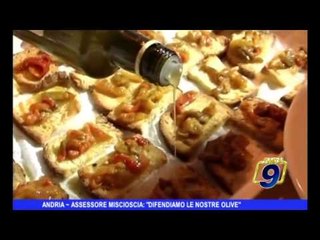 ANDRIA | Miscioscia: "Difendiamo le nostre olive"