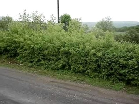 rallye dijon cote d'or 2006