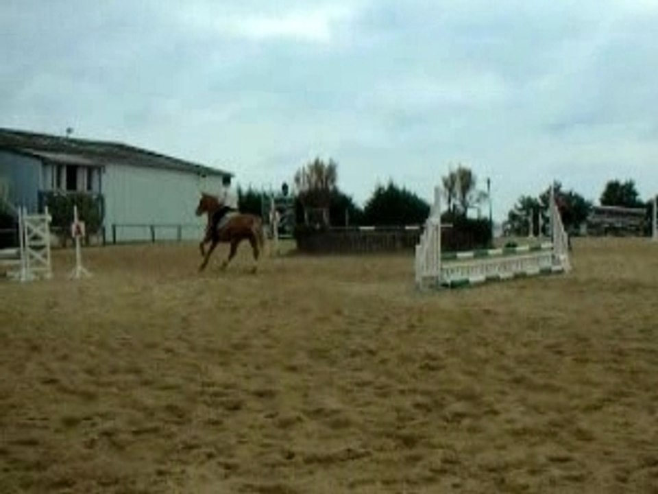 DSCN3162