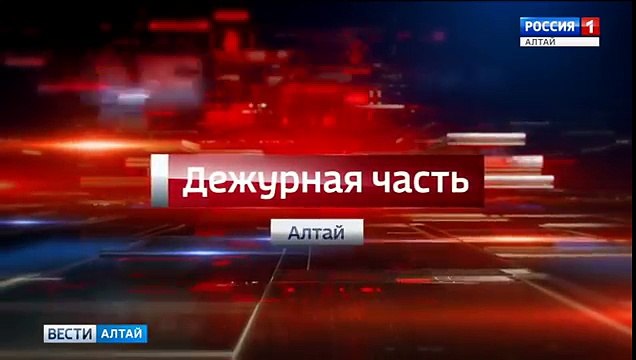 На Алтае грибник обнаружил свой автомобиль разобранным посреди леса