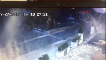 Fırtınada Yıkılan 180 Yaşındaki Çengelköy Çınarı Hayata Tutundu