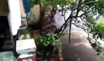 TỘI QUÁ CÁC BẠN Ạ HÃY  ĂN CHAY NHÉ  ĐỂ KHÔNG TẠO THÊM ÁC NGHIỆP NỮA     A DI ĐÀ PHẬT