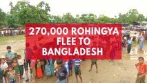 270,000 Rohingya flee to Bangladesh after weeks of violence