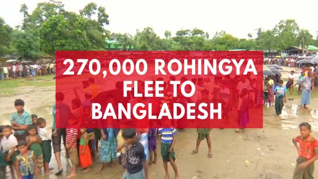270,000 Rohingya flee to Bangladesh after weeks of violence