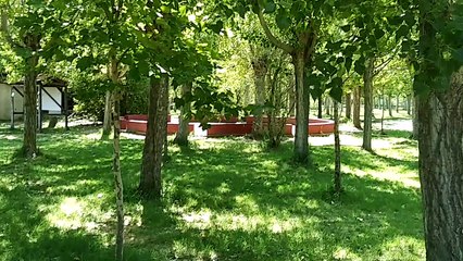 Retiro Jóvenes IEBZ