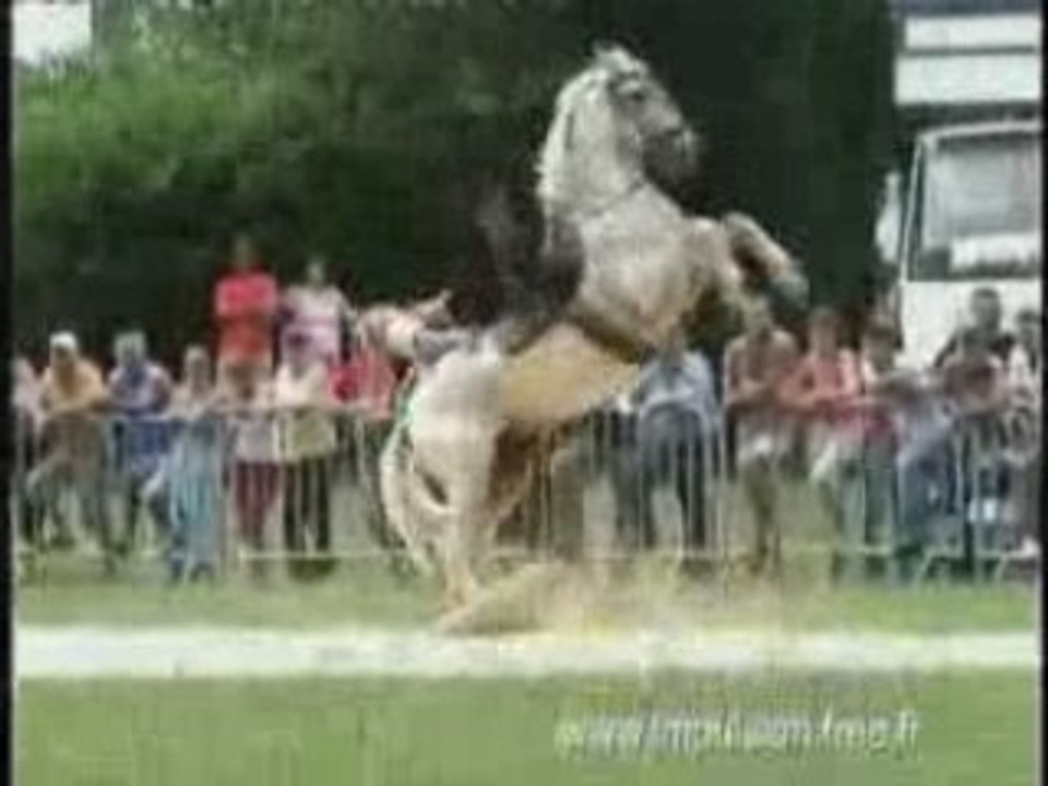 Cascadeur Chute Cowboy Indien