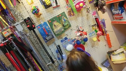 Kedicik Alinaya iğne ve minik kediciklere kuduz aşısı yapıldı.Korktular mı?