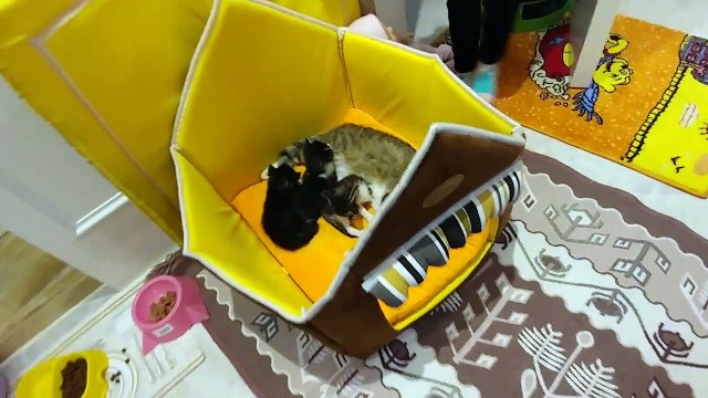 UYANDIRMAMA CHALLANGE , Uyandırmadan yap kazan , eğlenceli çocuk videosu