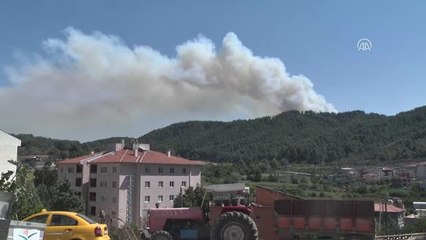 Suriye Sınırındaki Orman Yangını