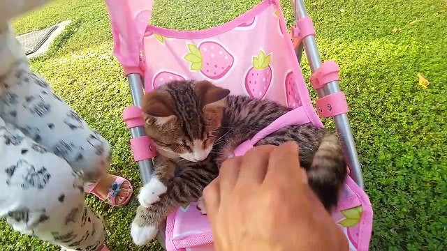 elif ve paticik oyuncak bebek arabası ile bahçede geziyor, eğlenceli çocuk videosu