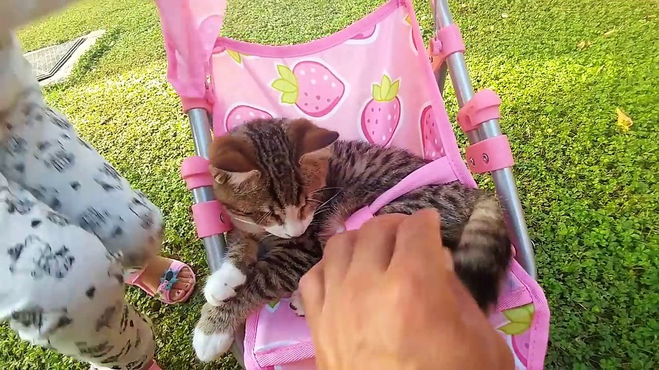 elif ve paticik oyuncak bebek arabası ile  bahçede geziyor, eğlenceli çocuk videosu