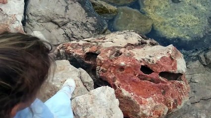 Anna elsa deniz kenarında oynuyor.Elif elsa kostümü ile gezmeye çıktı.