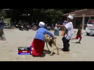 Umat Muslim Asal Singapura Berikan Bantuan Ribuan Hewan Kurban - NET16
