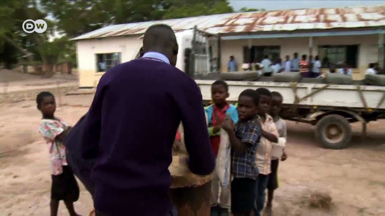 Reise der flughunde nach sambia | dw deutsch