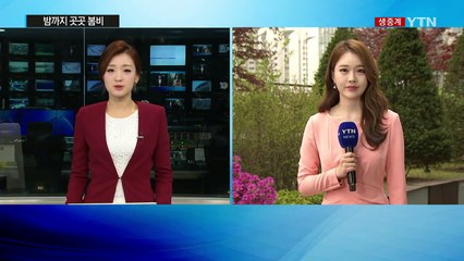 [날씨] 밤까지 곳곳 봄비...내일 구름 많고 따뜻 / YTN