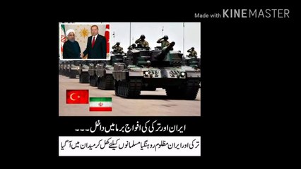 Finally Turkey and Iran attacked on Burma to save Rohingya Muslims