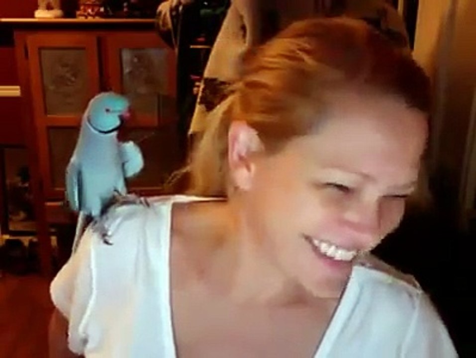 funny video