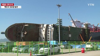 한 달 새 뼛조각 300점 발견...동물 뼈 추정 / YTN