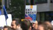 Pro-EU protest in London calls for an end to Brexit
