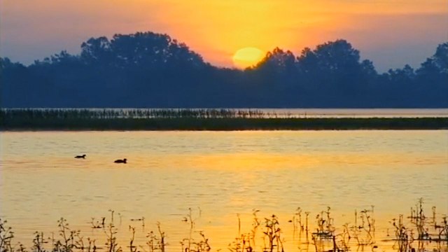 Razvoj i destrukcija rezervata Bardača, Bosna i Hercegovina