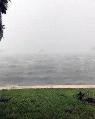 Florida eyaleti "Irma Kasırgası" için alarmda