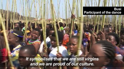 Young women dance to the Zulu king to celebrate virginity