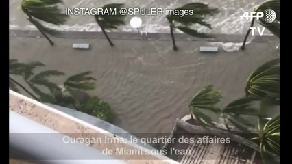 Irma inonde le quartier des affaires de Miami