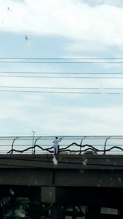 Lady on a Bridge