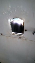 An odd bark from an excited dog!