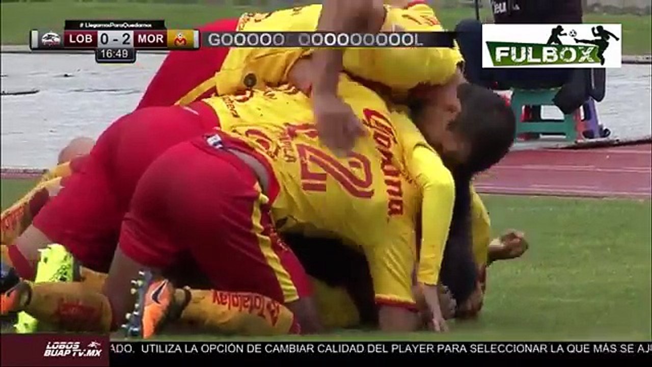 Raúl Ruidiaz Second Goal ~ Lobos BUAP vs Morelia 0-2