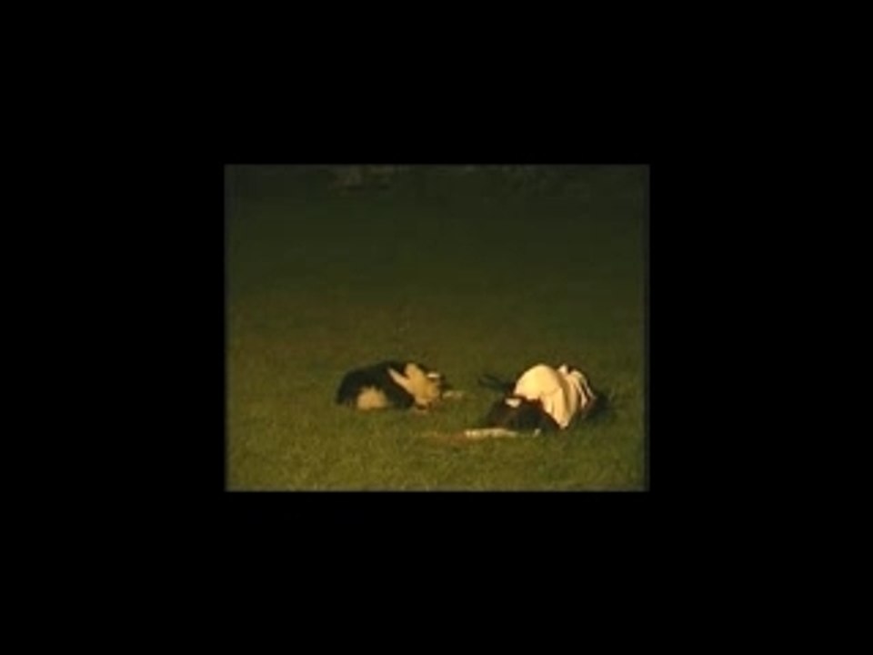 Obéissance Rythmée : Petra Bozzo, Choré n°3 (Pirates)