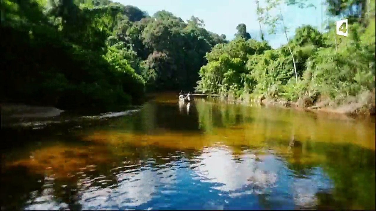 Aventures sauvages - Au Guyana