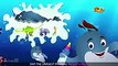 Blue Whale Nursery Rhyme  ChuChuTV Sea World  Animal Songs & Nursery Rhymes For Children ,cartoons animated anime Tv series 2018 movies action comedy Fullhd season  - 1