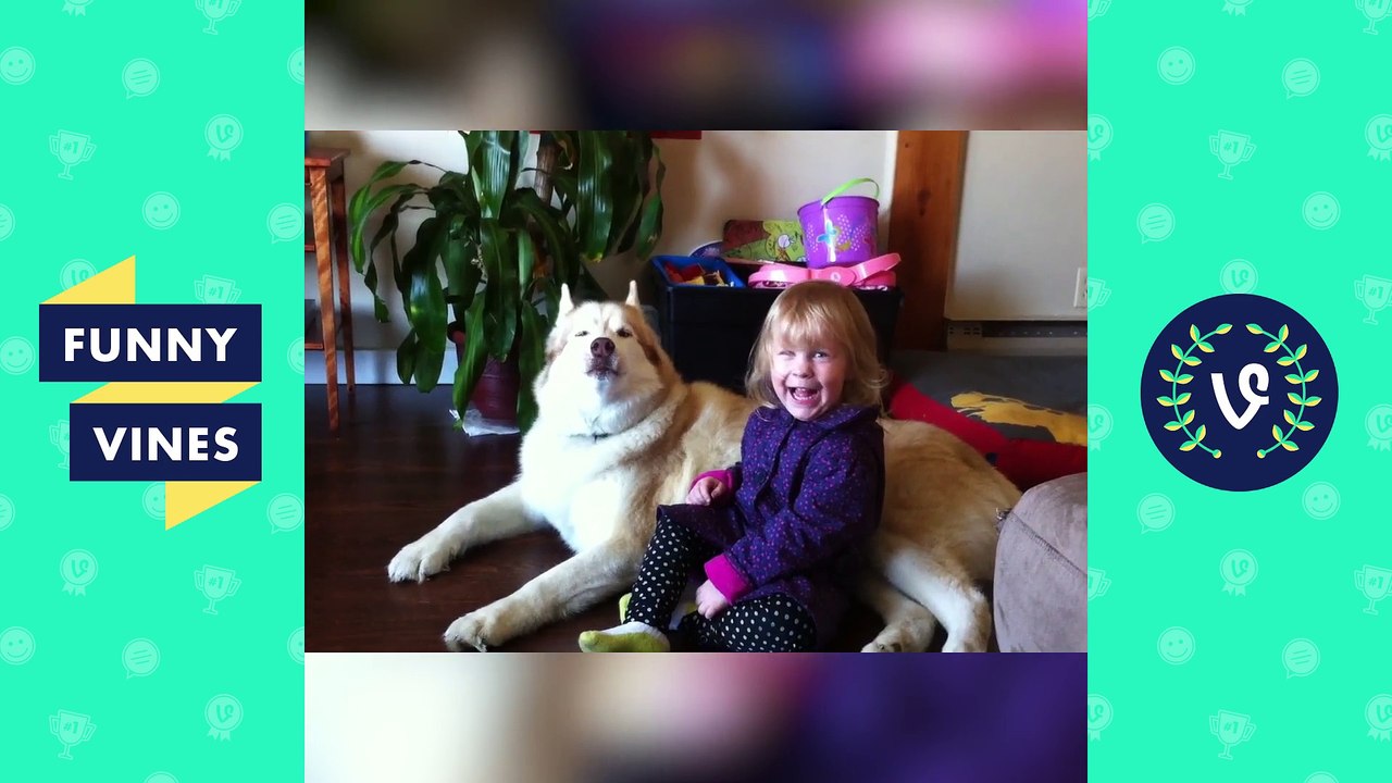 TRY NOT TO LAUGH or GRIN - Funny Animals Vines Compilation 2017 - Funny Vines