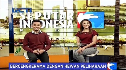 Asiknya Jalan-Jalan dan Bercengkerama dengan Hewan Peliharaan