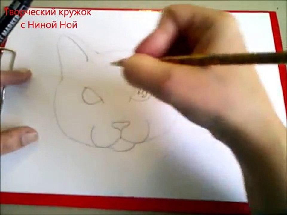 Dessiner des animaux avec un crayon ou un feutre