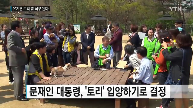토리, 청와대 식구 된다...세계 최초 유기견 '퍼스트 독' / YTN
