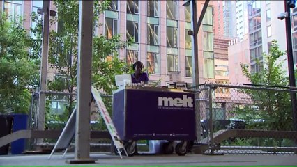 Thieves Steal Tip Jars From Vendors at New York Park