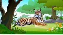 Wild Safari Animals,Nocturnal,Desert,Water Zoo Animals-Learn Names and Sounds-Kids Z Fun