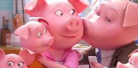 Sing - Top Funny & Best Scenes (2017) 🎬