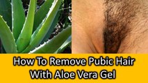 Remove Unwanted Hair From Your Private Parts Naturally 1 Painless Ingredient | Hair removal Option in United States at cheapest way!