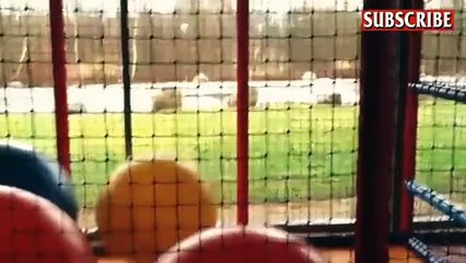 (2) OMG MUST WATCH __ AFV 2017 Funniest home videos You laugh you lose - YouTube