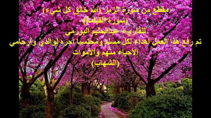 مقطع من سورة الزمر (الله خالق كل شيء)للبورمي