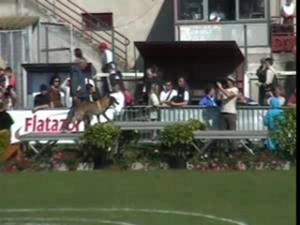 Le best of du championnat de France en RING 2007