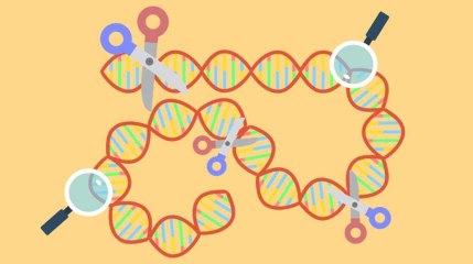 Crispr Cas9, une méthode révolutionnaire pour faire évoluer la génétique